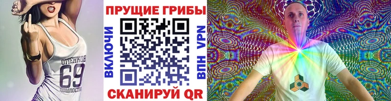 Псилоцибиновые грибы мицелий  Хабаровск 