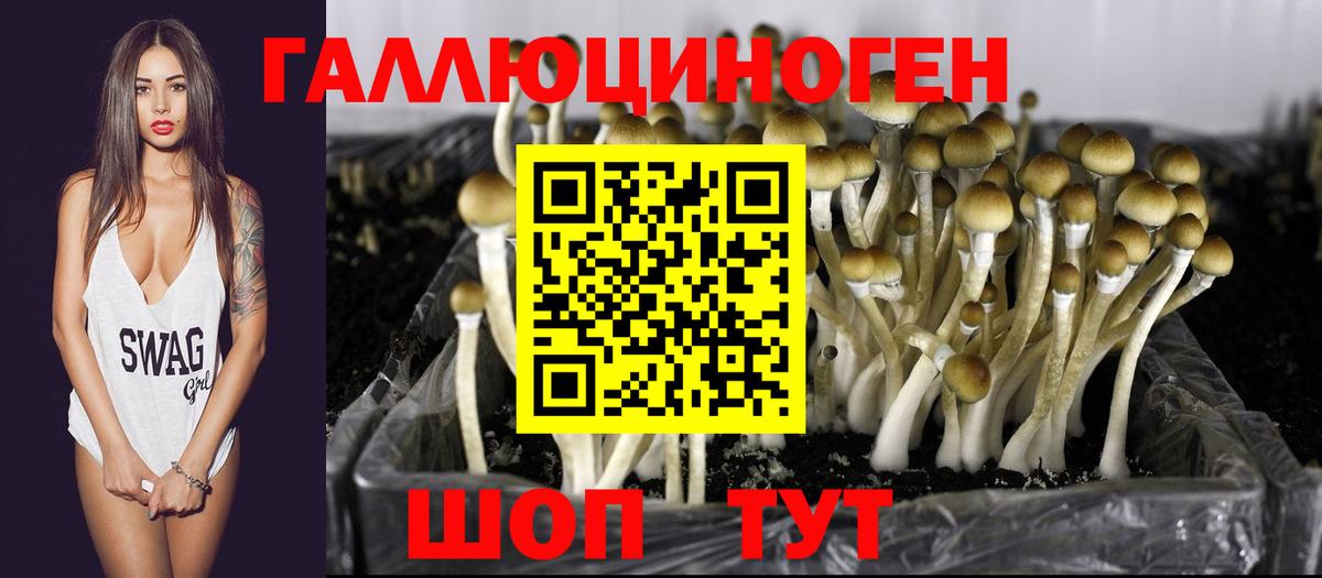 Хабаровск  Галлюциногенные грибы MAGIC MUSHROOMS  Вход с VPN  Псилоцибиновые грибы Psilocybine cubensis 